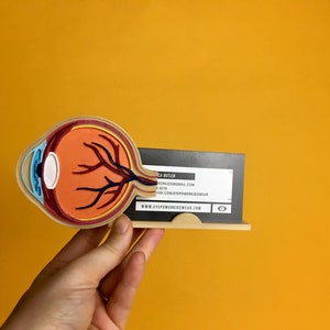 Porta-cartões de visita de anatomia ocular