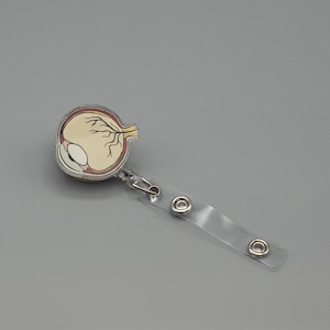 May include: A clear plastic badge holder with a colorful anatomical eye illustration. The holder has a metal clip and a retractable string.