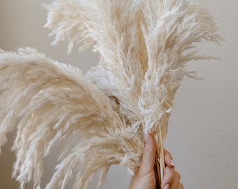 Tall Pampas Grass, Dry Floral For Home Decor, Wedding Arch Decor, Boho Decor, Centerpiece Decor, 3 Feet Pampas Grass, Extra Fluffy Pampas,