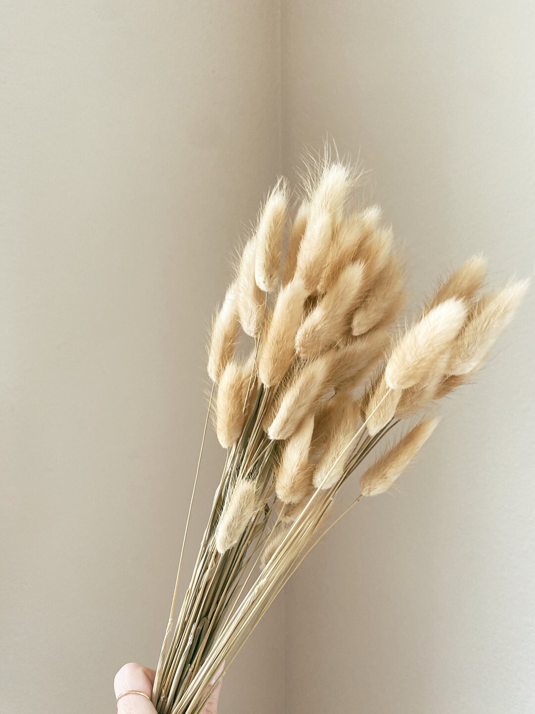 Bunny Tails, Vase Filler, Kitchen Island Decor, Natural Dried Florals