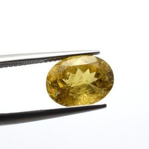 May include: A faceted, oval gemstone held by tweezers. The gem is a warm yellow colour with internal inclusions and a star-like pattern. The background is plain white, highlighting the gem's details.