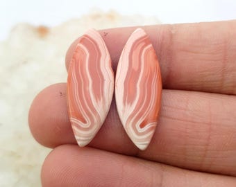 Botswana Agate Gemstone, Fancy Shape Loose Gemstone for Jewelry Making, Matched Earring Pair