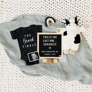 Digital Editable Pregnancy Announcement, Electronic Pregnancy Reveal, Social Media Baby Announcement, Summer Baby Reveal, 1371