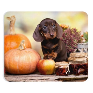 Welpe Mauspad, Hund, Äpfel, Kürbisse, Marmelade, Herbstmauspad, Herbstgeschenke, Wohndeko, ComputerZubehör, Bürobedarf, niedliche Welpen