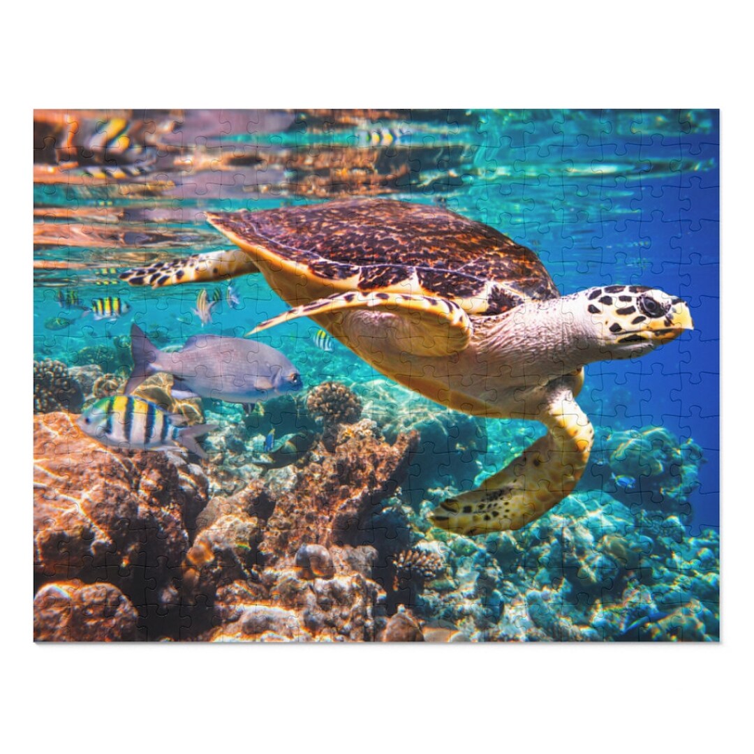 Puzzle 1000 Pezzi Per Adulti - Mondo Sottomarino Con Tartaruga E Coralli - 71x50 Cm Con Poster