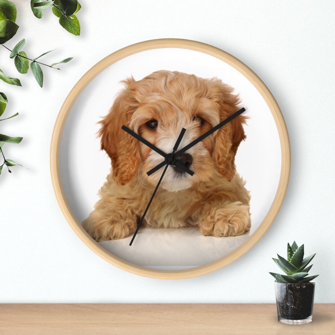 Cavapoo Wall Clock, Dog Wall Clock, Cute Puppy Wall Clock, Every Second ...