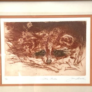 Cute Raccoon Joan Purcell Etching: Signed & Numbered Animal Portrait 18”