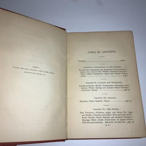 以下が含まれることがあります： 「The Towara:  A Tribe of the Soudan.」というタイトルの本の目次ページ。この本は、トワラ族の歴史、文化、地理について詳しく説明しています。