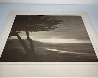 Antique Print Carmel California Sunset Beach Scenic Pacific Ocean Coast Photograph 13” Black White Unframed Wall Art Home Decor Trees Beach