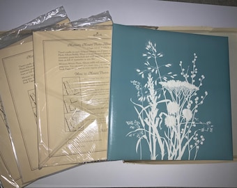 Nuovo album fotografico "Fiori selvatici" degli anni '60 in scatola con pagine di ricambio QUALITÀ USA Hallmark fiori bianchi in rilievo blu 12,5"
