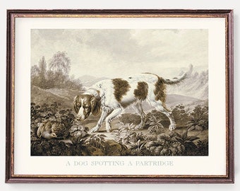 Hunting Dogs Art Prints | Pheasant and Partridge Hunting Illustrations | Vintage Hunt Wall Art - Set of Two