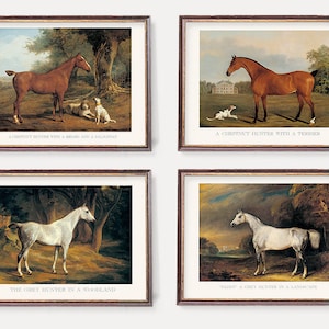 Vintage Polo Horses Prints | Illustration of White & Brown Horses with Dogs | Old English Wall Art - Set of Four Fine Art Prints