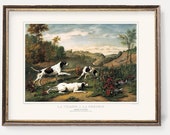 Hunting Dogs Art Prints Pheasant and Partridge Hunting Illustrations Vintage Hunt Wall Art - Set of Two