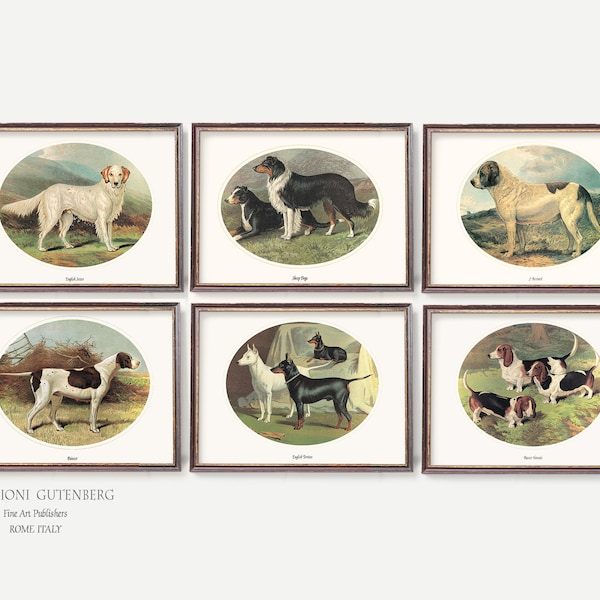 Impressions d'art antiques de chien | Illustrations de race de chien | Décoration murale canine - Lot de 6