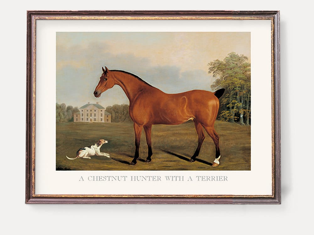 Vintage Polo Horses Prints | Illustration of White & Brown Horses