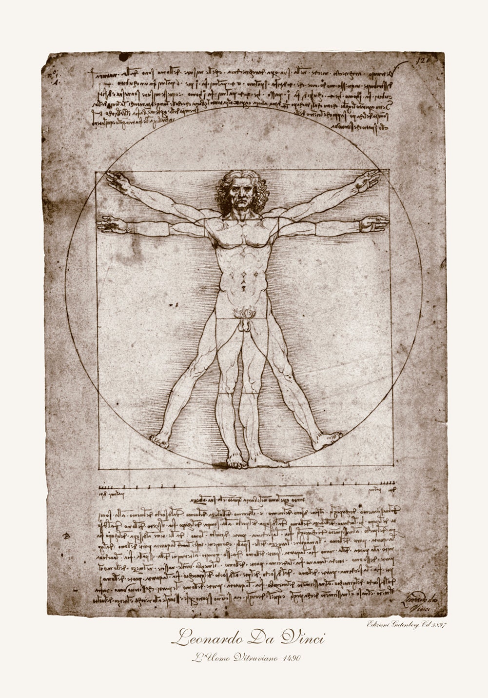 Uomo Vitruviano / Disegno Leonardo Da Vinci / Illustrazione Scientifica Rinascimentale / Stampa D'arte Antica Italiana / Schizzo Corpo Umano - Etsy uomo-vitruviano-disegno-leonardo-da-vinci-illustrazione-scientifica-rinascimentale-stampa-d-arte-antica-italiana-schizzo-corpo-umano-etsy