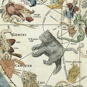K&ouml;nnte beinhalten: Eine antike Sternkarte, die Sternbilder am Nachthimmel darstellt. Die Karte zeigt Illustrationen der Sternbilder Gro&szlig;er B&auml;r, Kleiner B&auml;r, Drache, Zwillinge, Krebs, L&ouml;we und andere. Die Karte ist auf cremefarbenem Papier mit schwarzen Linien und braunem Text gedruckt.