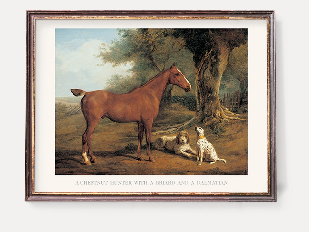Vintage Polo Horses Prints | Illustration of White & Brown Horses