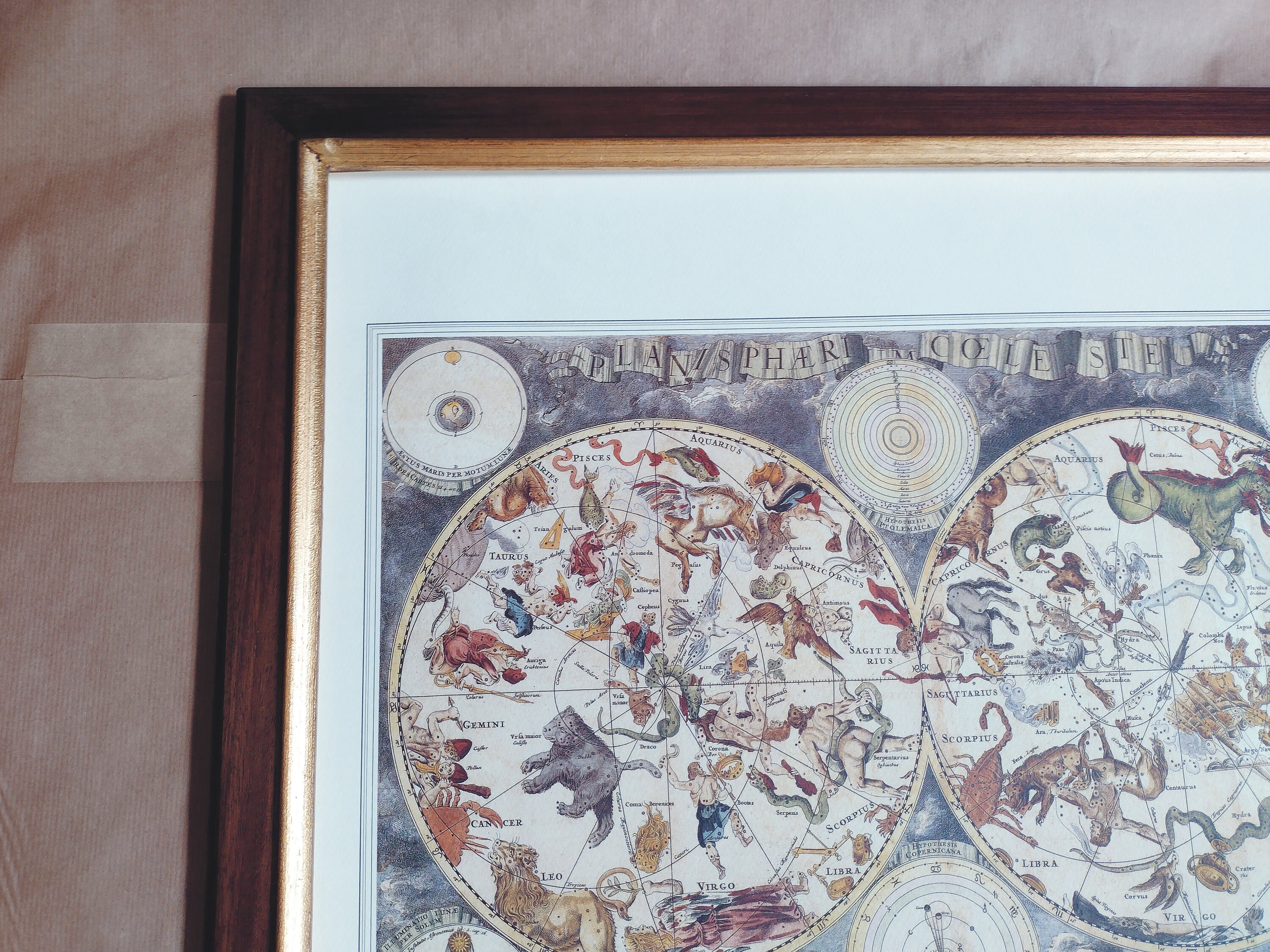 Celestial Planisphere Old Star Map Vintage Poster Fine | Etsy