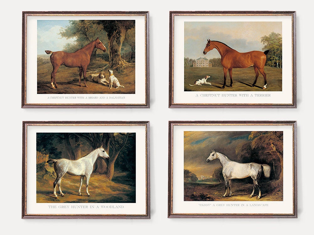 Vintage Polo Horses Prints | Illustration of White & Brown Horses