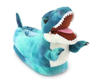 dinosaur slippers infant