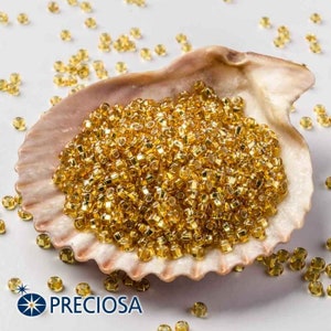 Puede incluir: Una concha de mar llena de pequeñas cuentas de vidrio doradas. Las cuentas son redondas y tienen un acabado brillante y metálico. Las cuentas están dispersas alrededor de la concha sobre un fondo blanco.