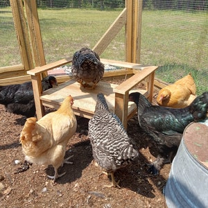 Chicken Bench