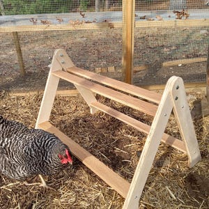 Chicken Roost, Medium size