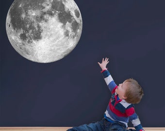 Silver Full Moon Wall Decal - BR037