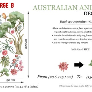 Extra large decal set depicting detailed Australian plants and eucalyptus trees with measurements.