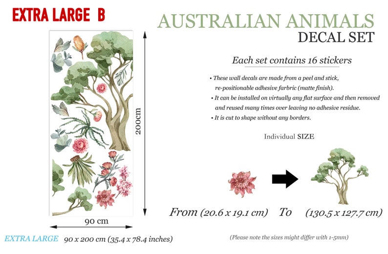 Extra large decal set depicting detailed Australian plants and eucalyptus trees with measurements.