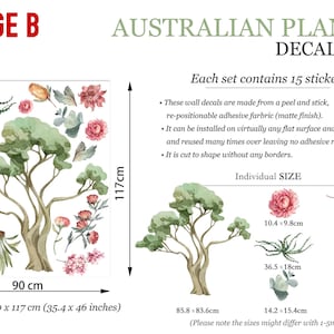 Large decal set showing a variety of Australian native plants and eucalyptus trees with specific measurements.