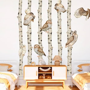 May include: A set of white birch tree wall decals with brown owls perched on the branches. The decals are ideal for adding a touch of nature to any room.
