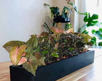 Centerpiece Box, Home Decor, Fall wooden box, Rustic Farmhouse Fall Decor, Fall  Centerpieces, Dining Room, planter box, handmade, upcycled