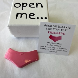 May include: A pink decorative underwear-shaped object next to a white box with the text "open me..." and a card that reads "GOOD FRIENDS ARE LIKE YOUR BEST KNICKERS". The card also includes text about friendship.