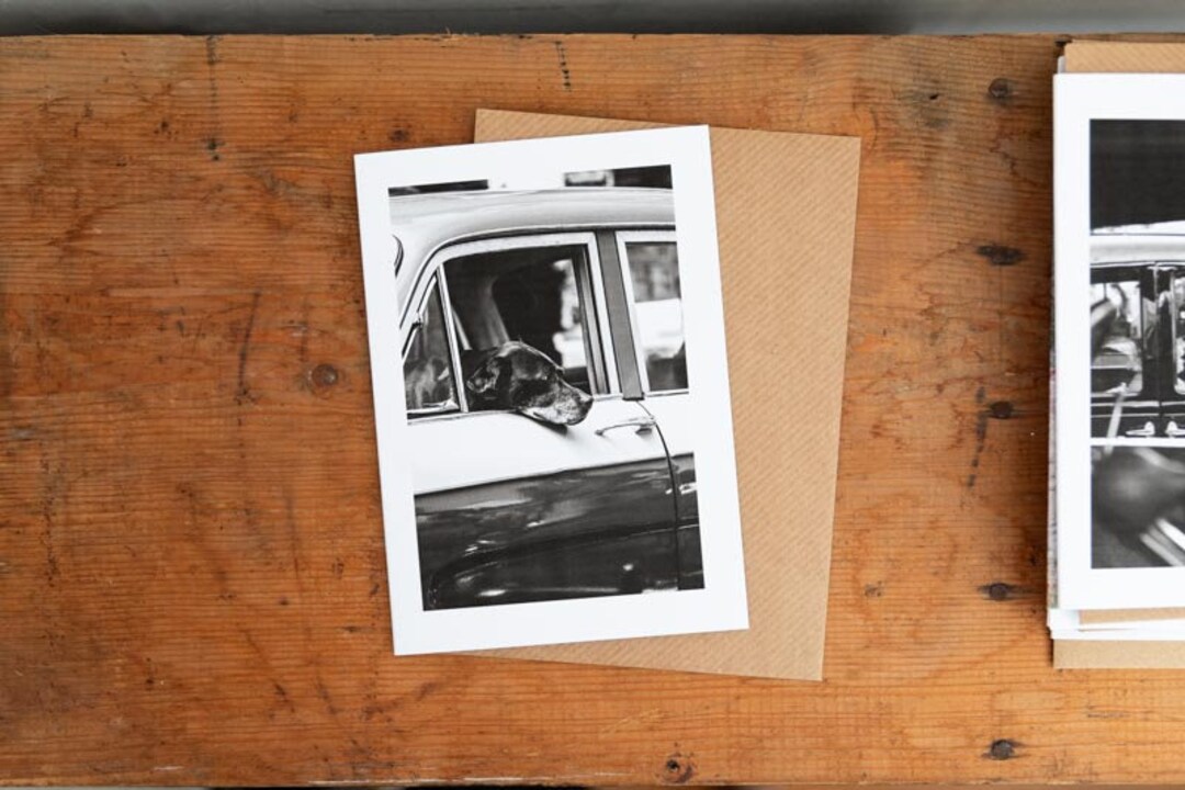 Photographic Print Card Dog in Car Blank Inside Etsy UK