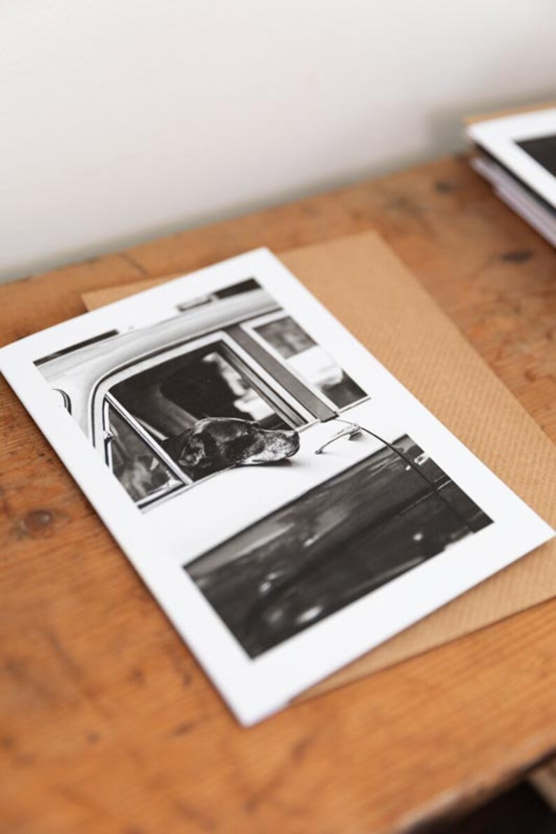 Photographic Print Card Dog in Car Blank Inside Etsy UK