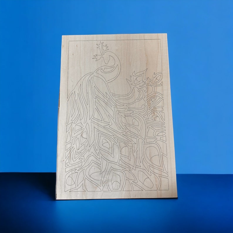 DIY Peacock Paint Kit, Paint at Home, Crafts for Teens, Gifts for Her