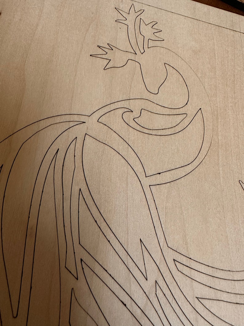 DIY Peacock Paint Kit, Paint at Home, Crafts for Teens, Gifts for Her