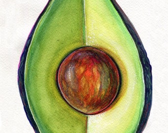 Avocado | Vegetable | Fruit | Watercolor | Vegan