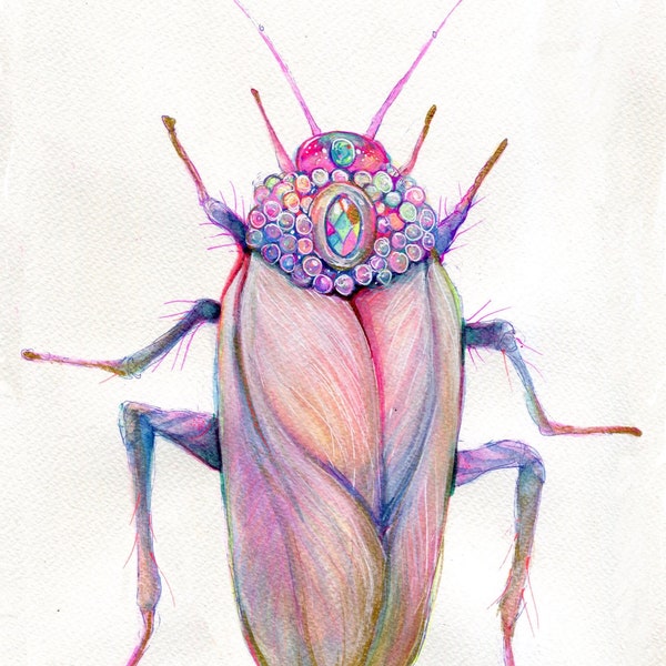 Fauna of New York | Watercolor | Jewel | Roach | Beetle