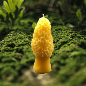 Morel Mushroom Beeswax Candle / Mushroom Hunter Gifts / Mushroom Gifts / Farmhouse Decor / Cabin Decor / Rustic Decor / Cottage Decor