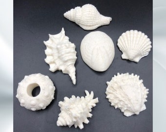 Seashell Guest Soaps - Set of 7