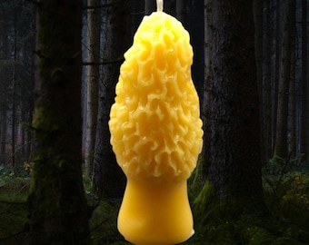 Morel Mushroom Candle | Cabin Decor | Mushroom Candle | Gift for Nature Lovers | Cabin Decor | Nature Lover Gift | Woodland Candle