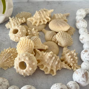 Seashell Soaps - set of 7 | Shell Soaps | Seashell Guest Soaps | Beach Decor | Shells | Coastal Bath Decor | Beach house | Vacation Home