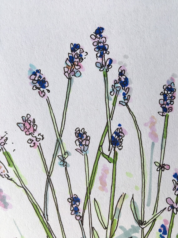 Lavender Plant in Bloom in Ink & Promarker Drawn on 70g Paper Size A4 - Etsy