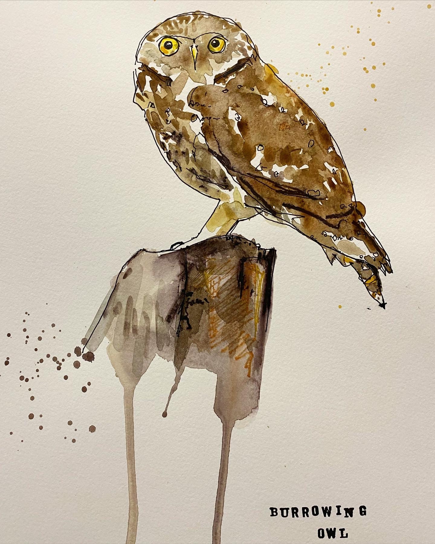 Burrowing owl original watercolour and ink painting on 20x16” 300gsm