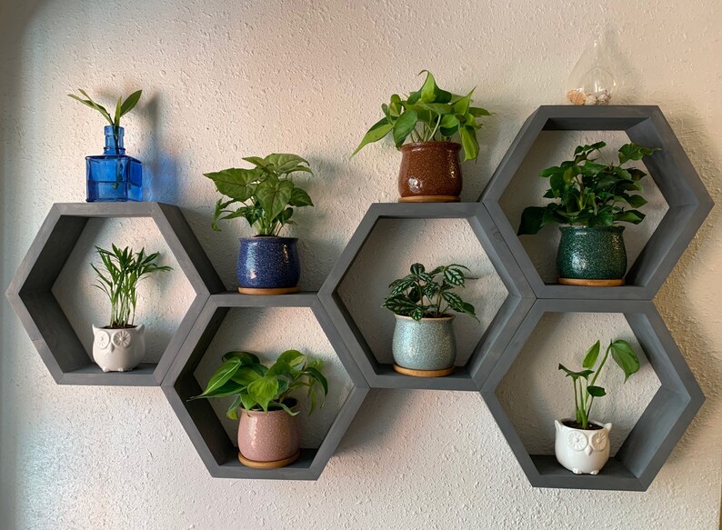 Set of 5 Hexagon Shelves Plant Shelf Wall Decor Etsy