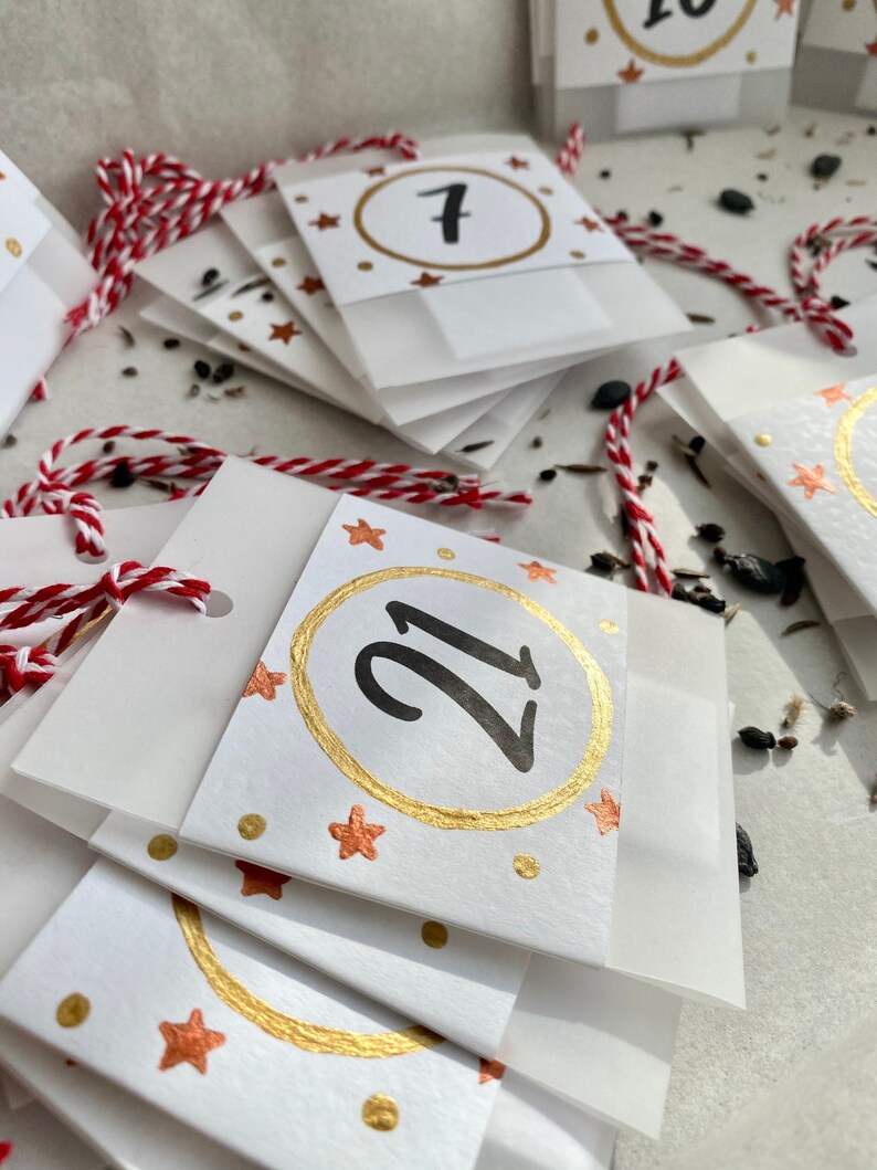 Quirky Seed Advent Calendar 24 Days of Christmas Handmade Etsy UK