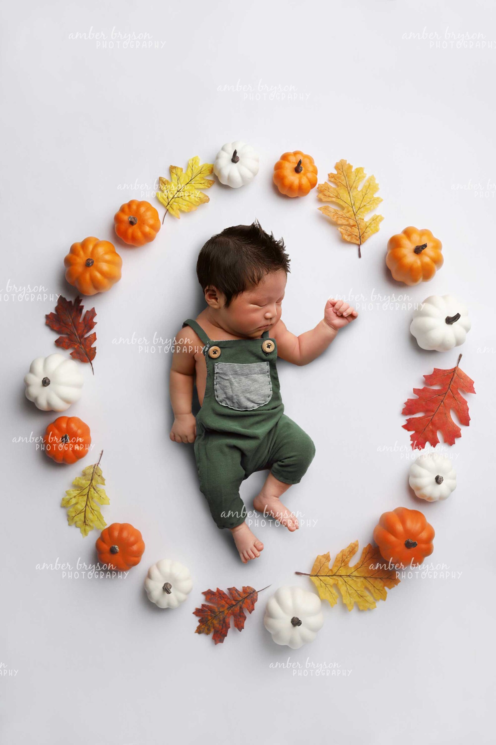 Fall Newborn Digital Backdrop, Fall Baby Background, Fall Newborn Photo